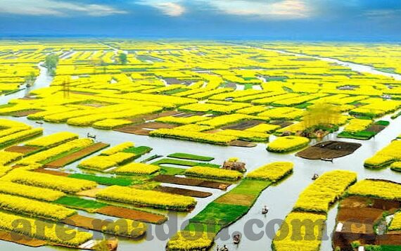 浮生影院果冻传媒-浮生影院，果冻传媒的创意与光影交织的梦幻空间