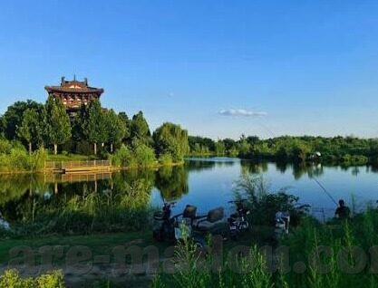 伦理文章-伦理之光，在数字时代中导航的指南针