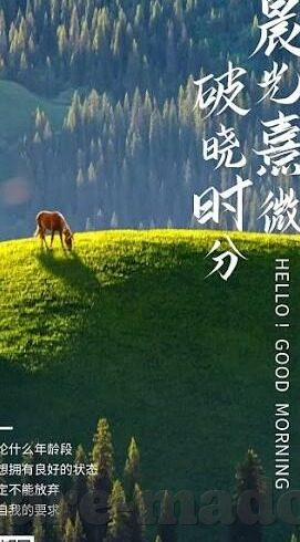 麻豆传媒是什么公司-揭秘麻豆传媒，数字娱乐与内容创造的新兴力量