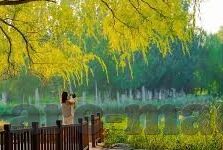 糖心短视频app-揭开糖心短视频APP的精彩世界，从创意内容到用户体验的深度漫游